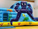 Barry The Octopus Fun Run