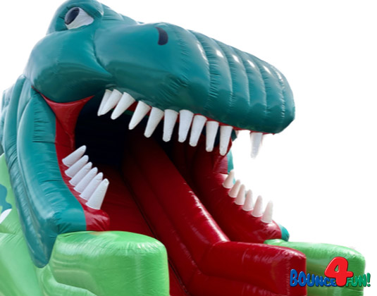 3D Dinosaur Slide